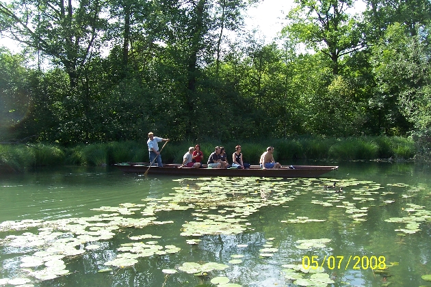 Bild 093.jpg - Eine geführte Kahnfahrt auf der verzweigten Flußlandschaft des Naturschutzgebietes Taubergießen